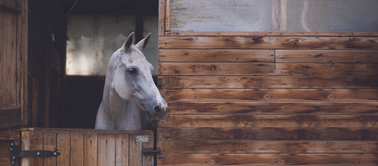 AdobeStock_290761231_edit.jpg